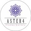 cropped-aster4_LOGO-round-white.png